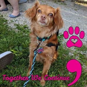 Meet your Posher, Gabby